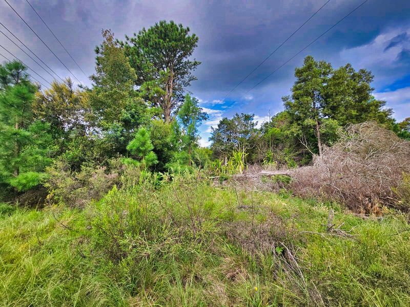 Vacant Land Residential For Sale in Wilderness Heights - Photo 6