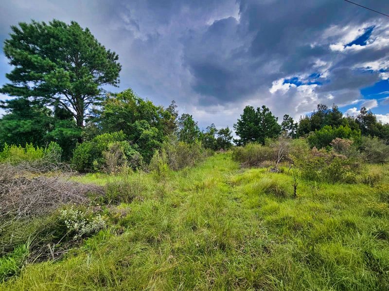 Vacant Land Residential For Sale in Wilderness Heights - Photo 4