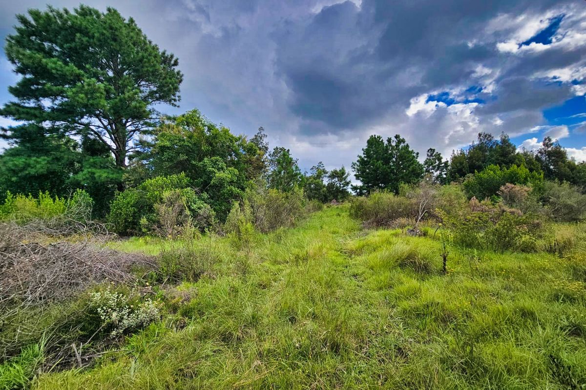 Vacant Land Residential For Sale in Wilderness Heights - Photo 4