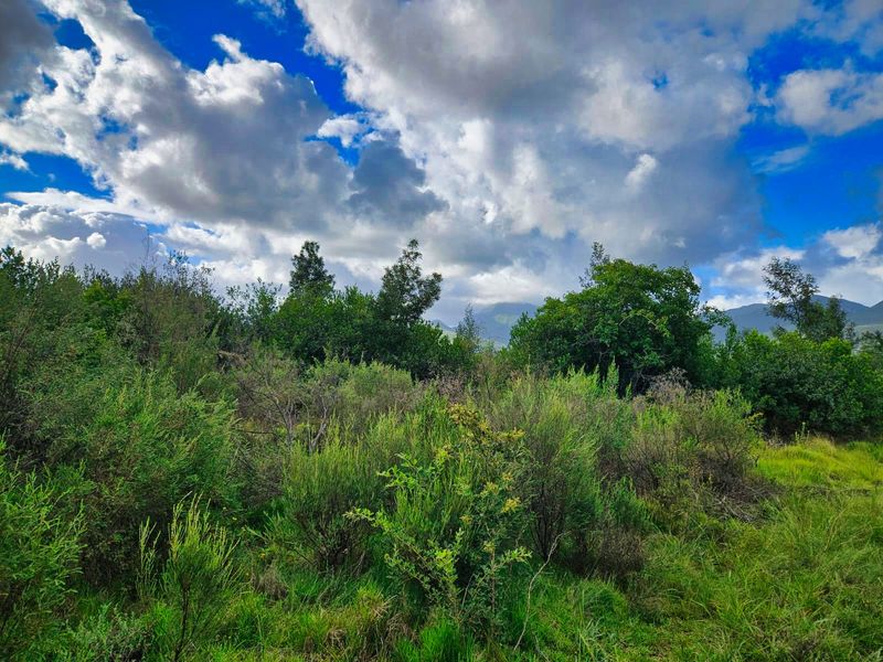 Vacant Land Residential For Sale in Wilderness Heights - Photo 3