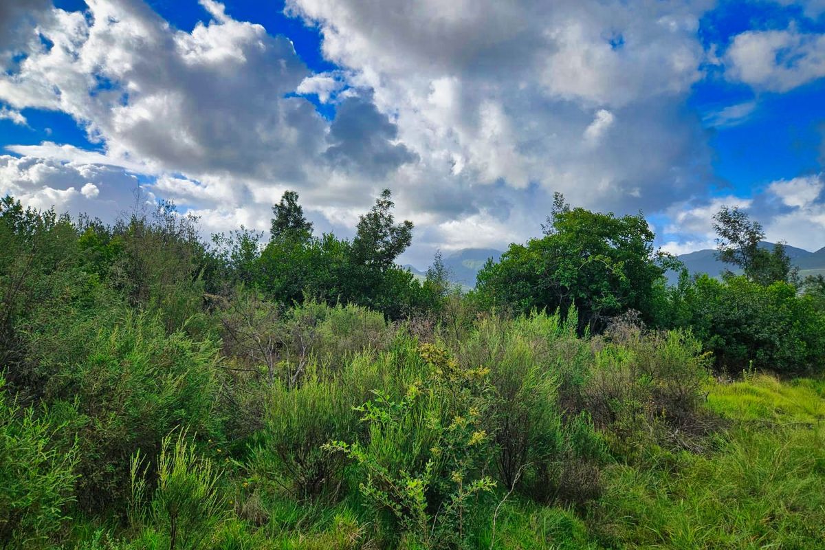 Vacant Land Residential For Sale in Wilderness Heights - Photo 3