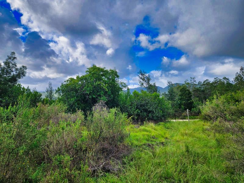Vacant Land Residential For Sale in Wilderness Heights - Photo 2