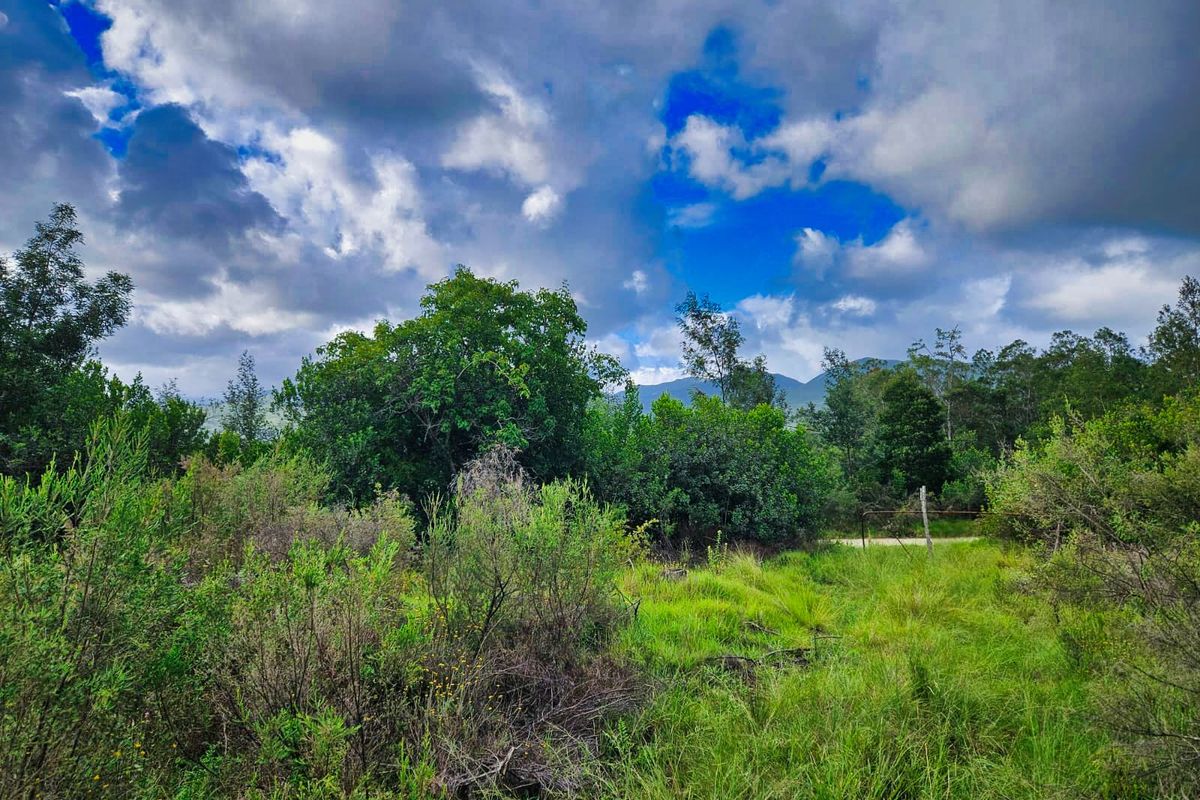 Vacant Land Residential For Sale in Wilderness Heights - Photo 2