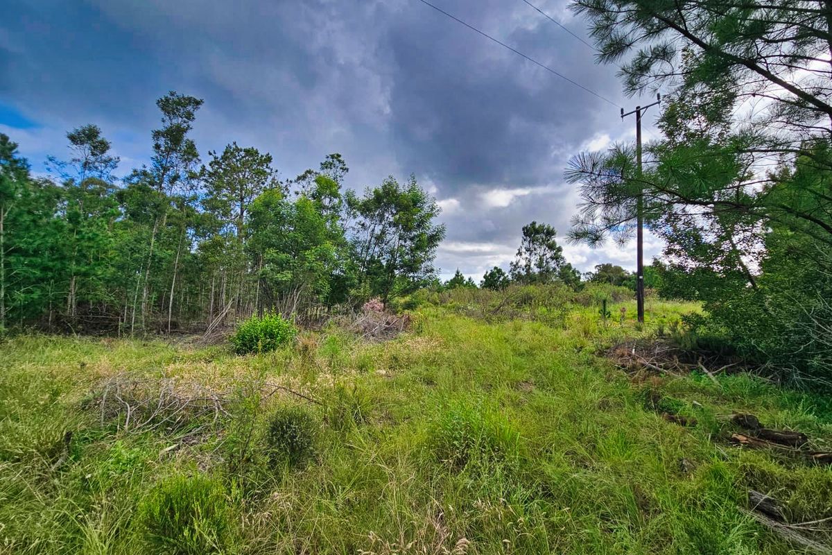 Vacant Land Residential For Sale in Wilderness Heights - Photo 5