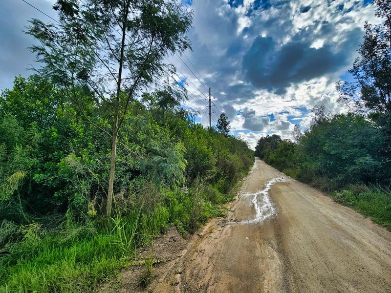 Vacant Land Residential For Sale in Wilderness Heights - Photo 8