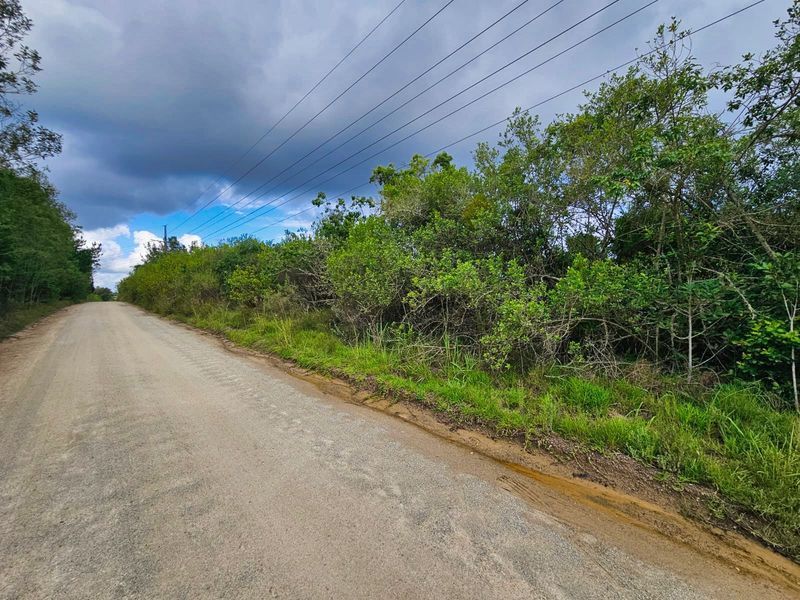 Vacant Land Residential For Sale in Wilderness Heights - Photo 7