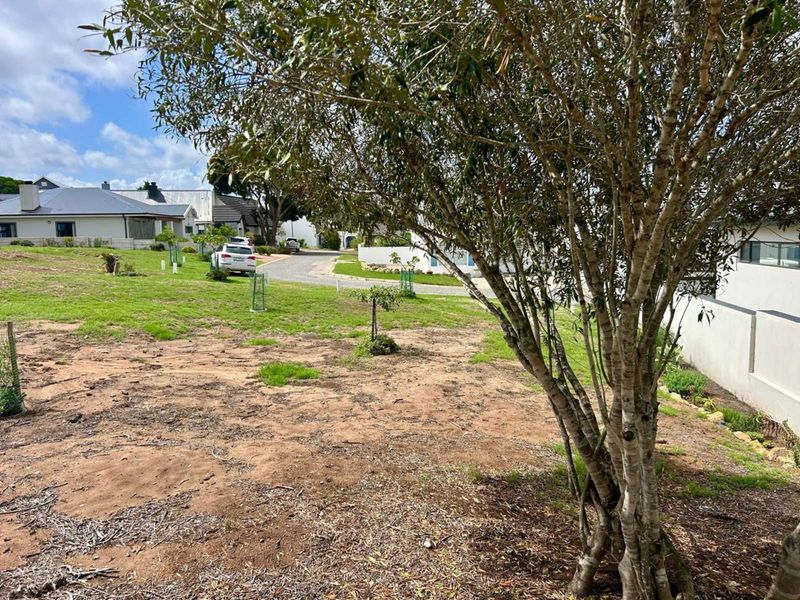 Vacant Land Residential For Sale in Stilbaai Wes - Photo 5