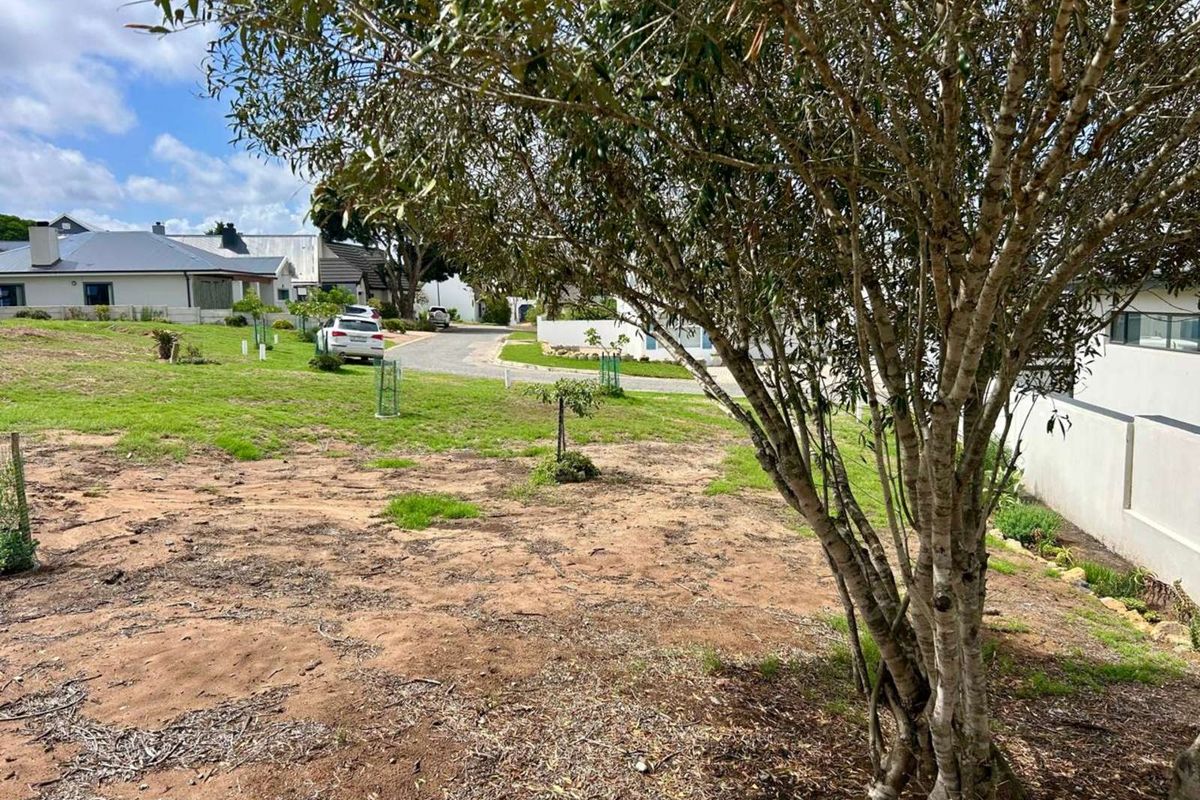 Vacant Land Residential For Sale in Stilbaai Wes - Photo 5