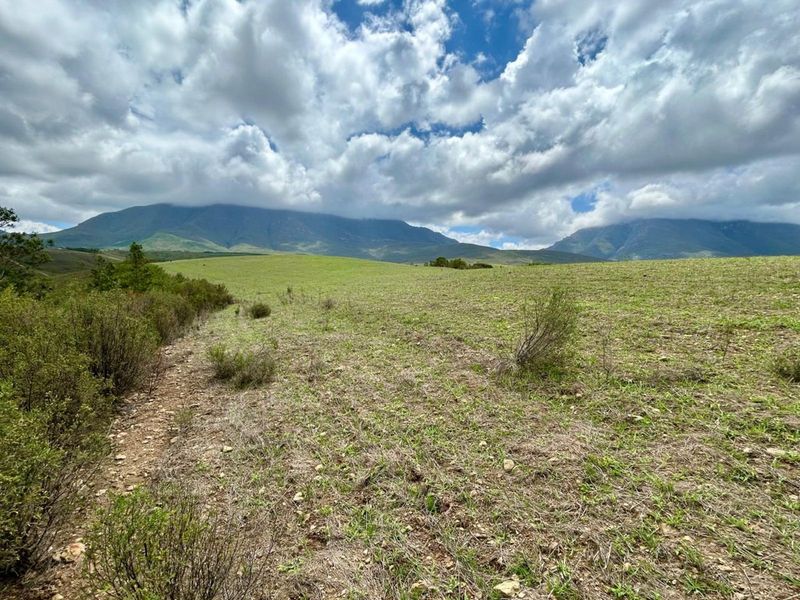 Farm For Sale in Riversdale Rural - Photo 10
