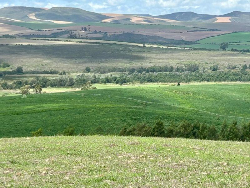 Farm For Sale in Riversdale Rural - Photo 9