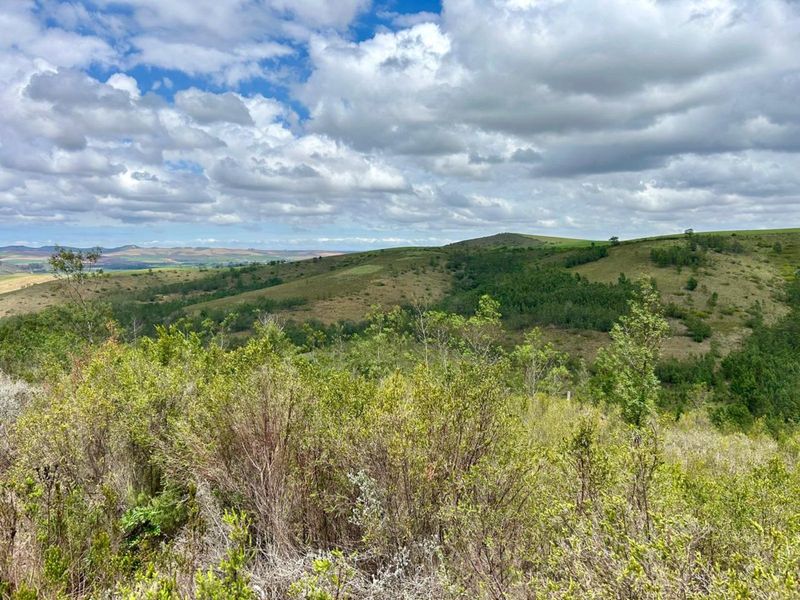 Farm For Sale in Riversdale Rural - Photo 8