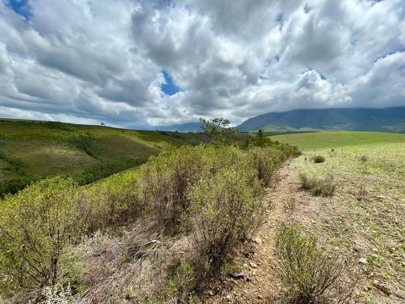 Farm For Sale in Riversdale Rural - Photo 6