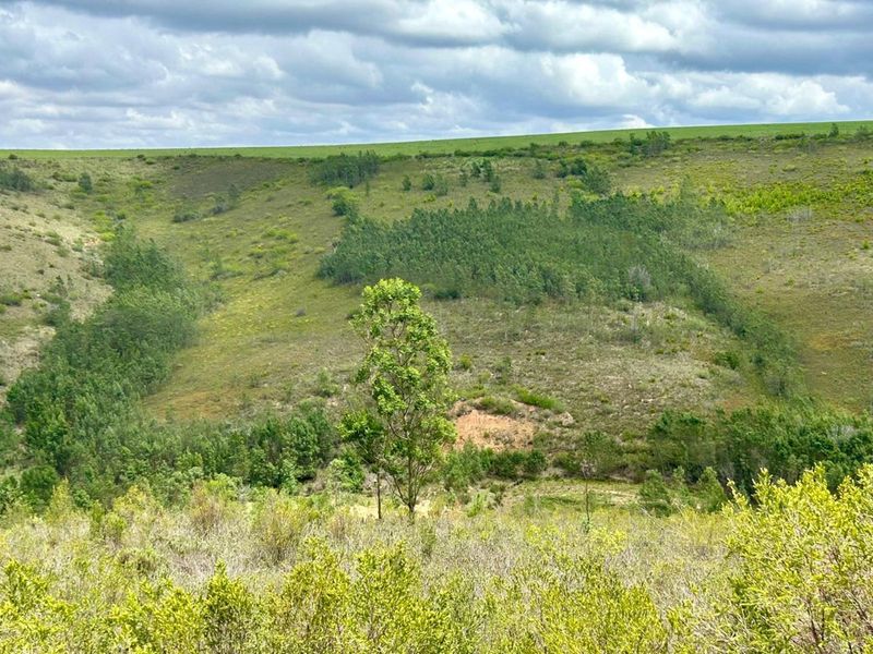 Farm For Sale in Riversdale Rural - Photo 7