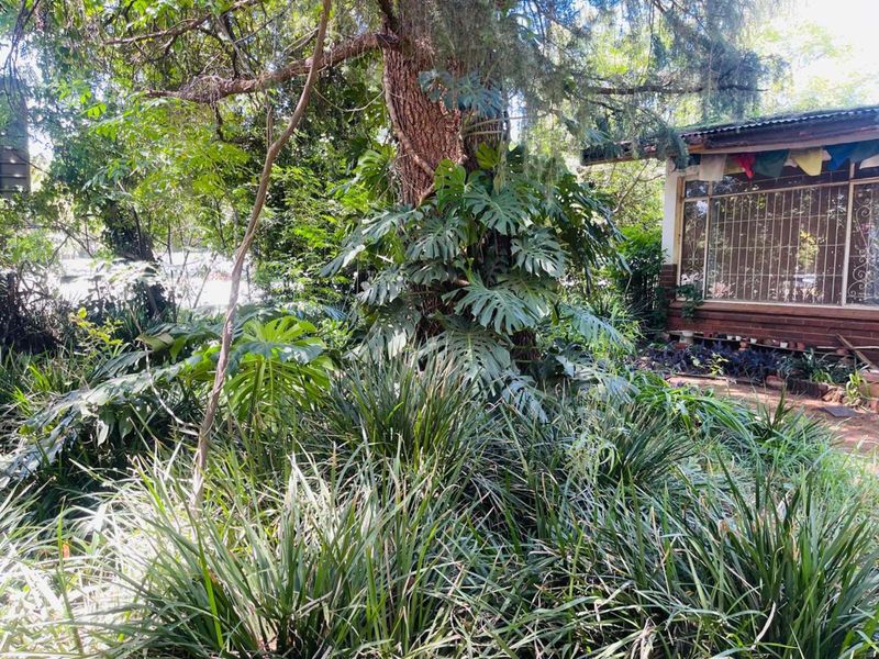 House For Sale in Lyttelton Manor - Photo 2