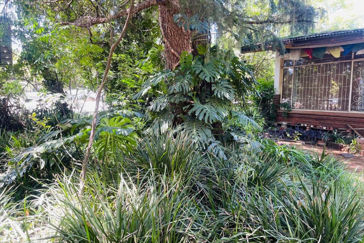 House For Sale in Lyttelton Manor - Photo 2