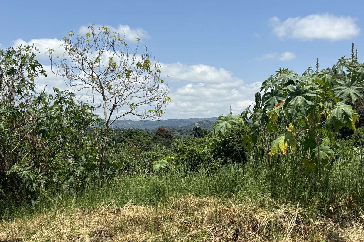 Vacant Land Residential For Sale in Aquapark - Photo 4