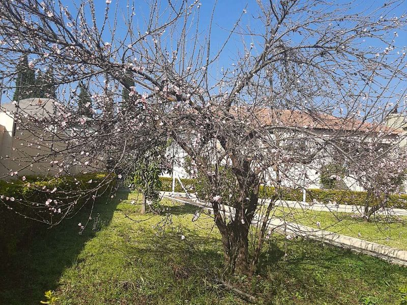 House For Sale in Die Heuwel - Photo 7