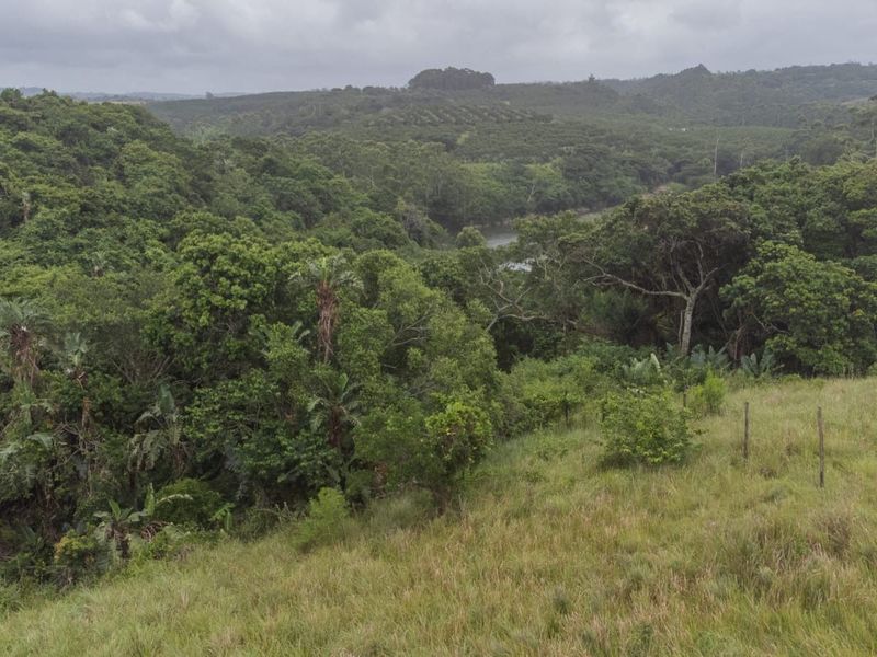 Vacant Land Residential For Sale in Palm Beach - Photo 8