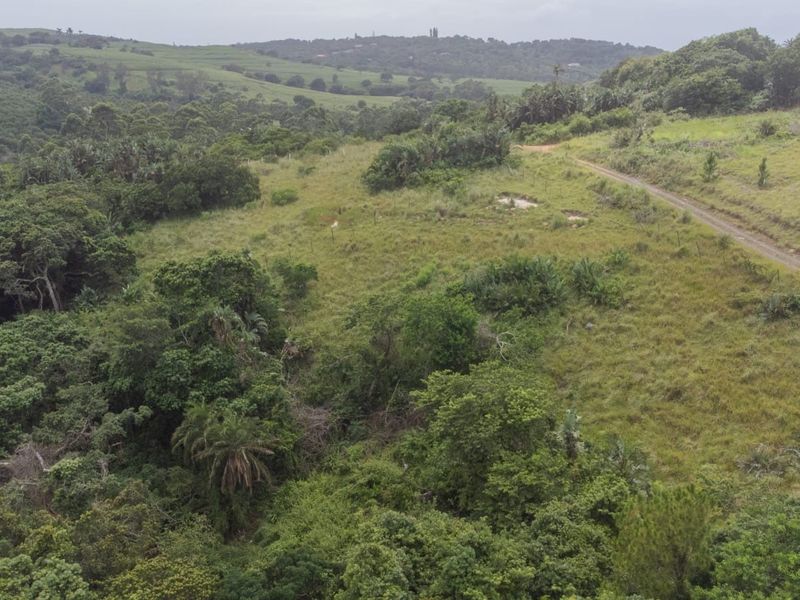 Vacant Land Residential For Sale in Palm Beach - Photo 7