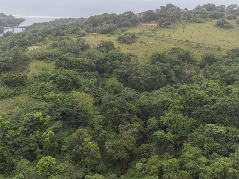 Vacant Land Residential For Sale in Palm Beach - Photo 6