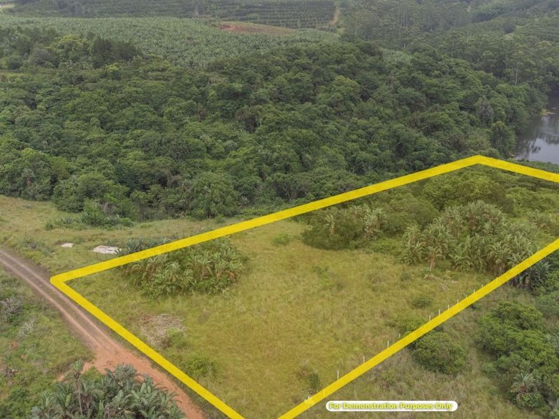 Vacant Land Residential For Sale in Palm Beach - Photo 3