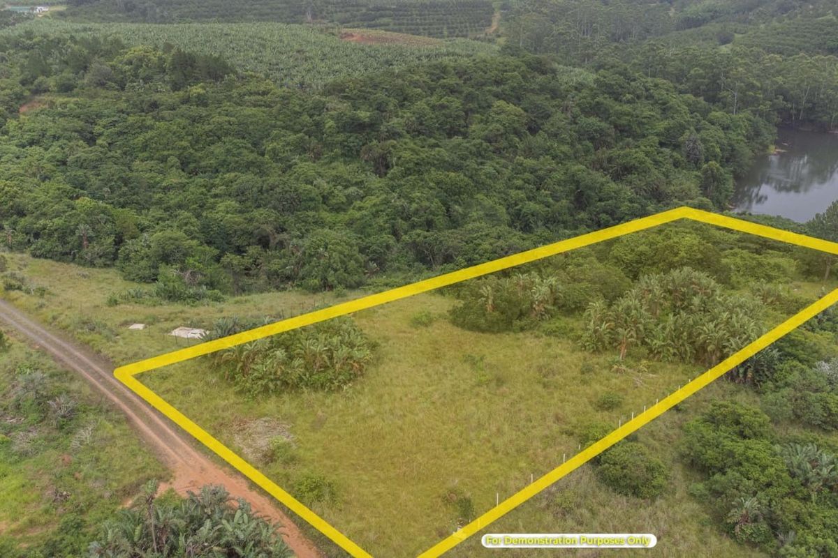 Vacant Land Residential For Sale in Palm Beach - Photo 3