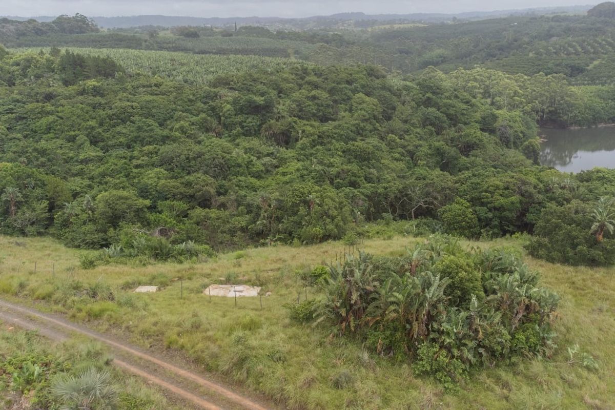 Vacant Land Residential For Sale in Palm Beach - Photo 4