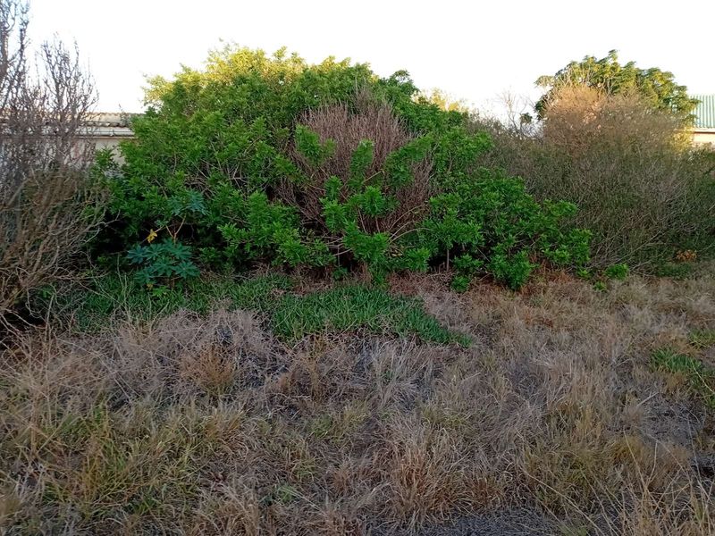 Vacant Land Residential For Sale in Bethelsdorp - Photo 7