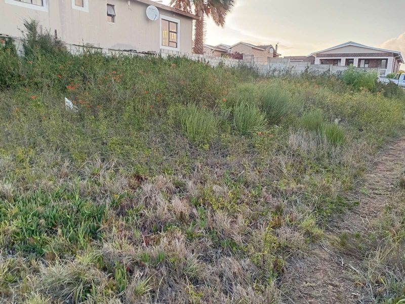Vacant Land Residential For Sale in Bethelsdorp - Photo 5