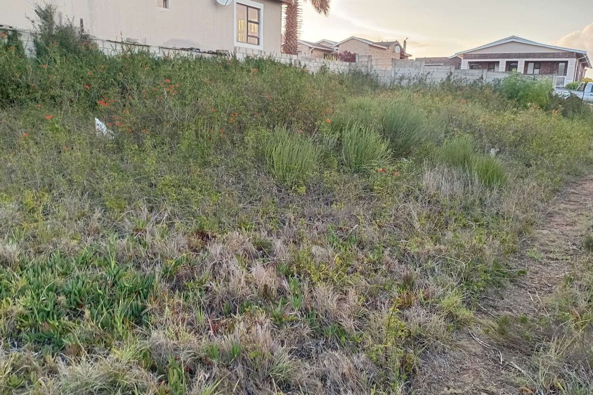 Vacant Land Residential For Sale in Bethelsdorp - Photo 5