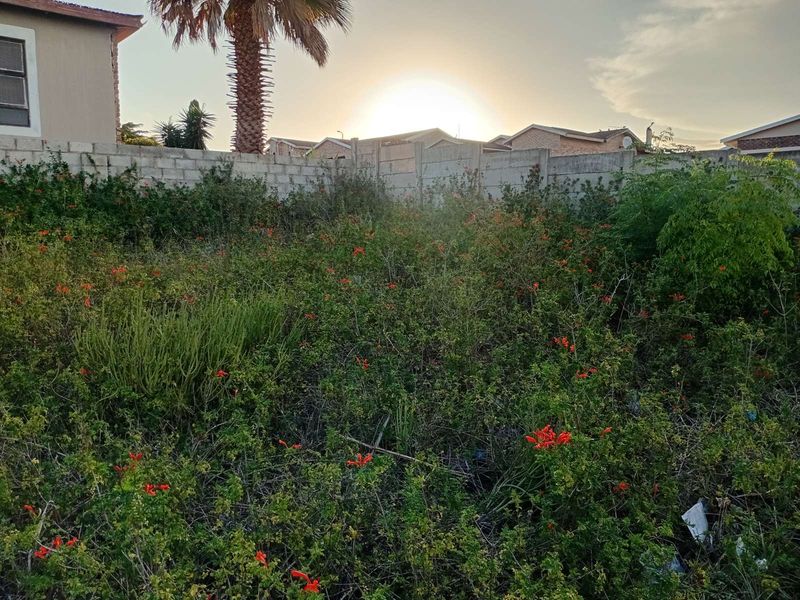 Vacant Land Residential For Sale in Bethelsdorp - Photo 4