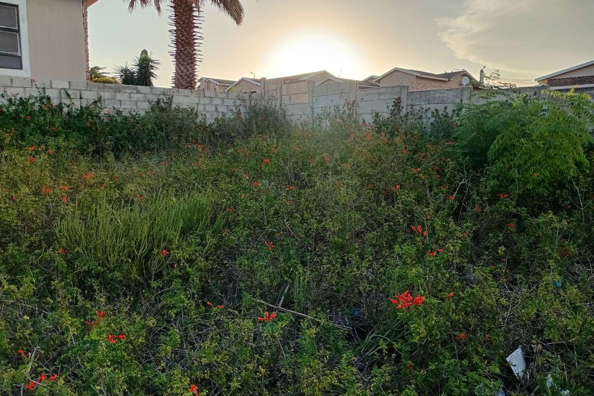 Vacant Land Residential For Sale in Bethelsdorp - Photo 4