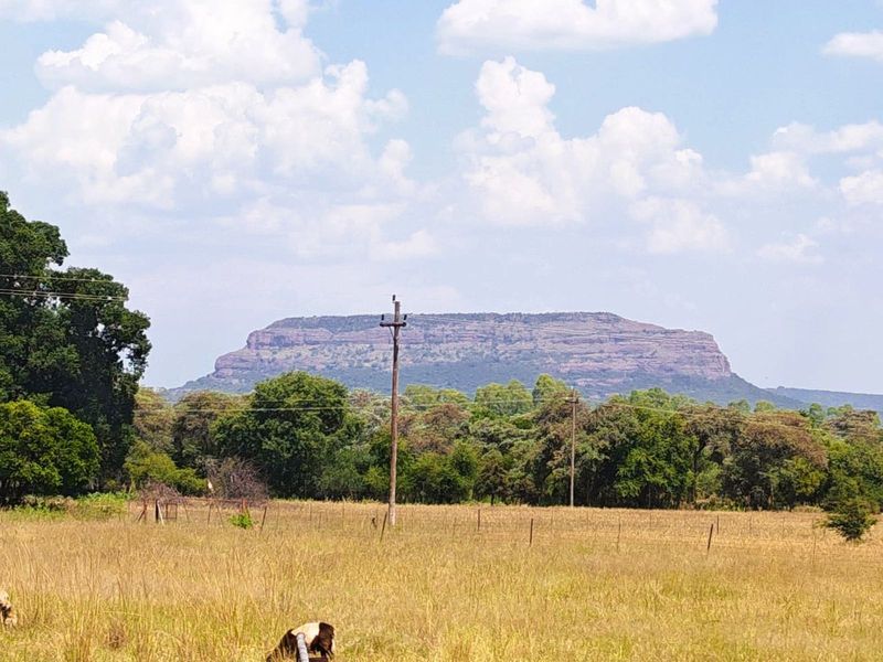 Farm For Sale in Modimolle Rural - Photo 2