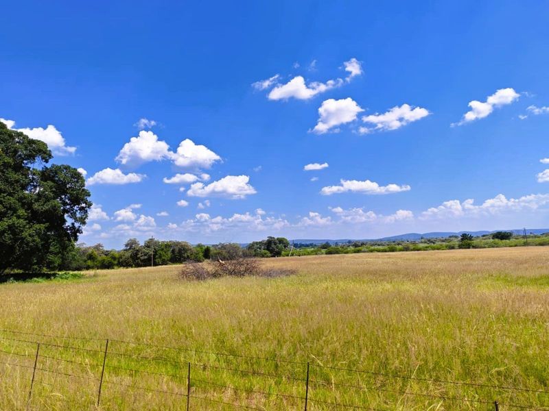 Farm For Sale in Modimolle Rural - Photo 4