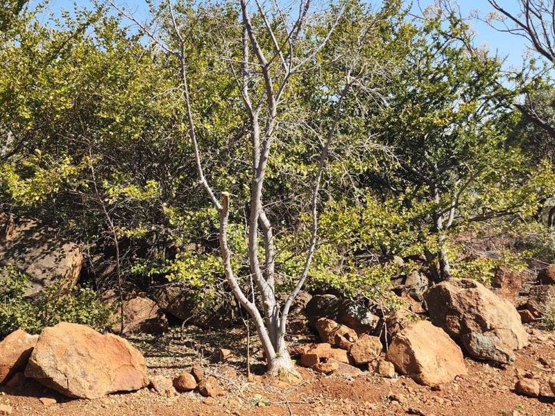 Vacant Land Residential For Sale in Vaal Marina Central - Photo 4