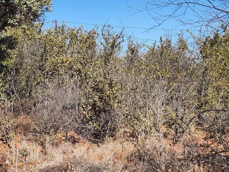 Vacant Land Residential For Sale in Vaal Marina Central - Photo 6