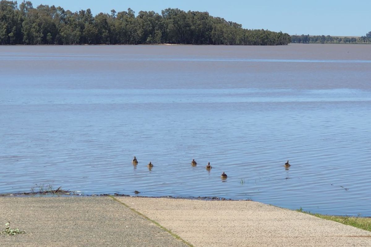 Vacant Land Residential For Sale in Vaal Marina Central - Photo 5