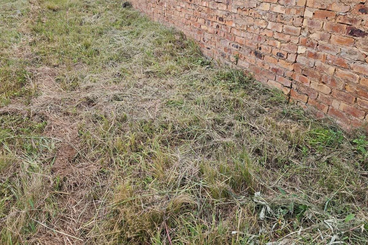 Vacant Land Residential For Sale in The Hills Game Reserve Estate - Photo 5