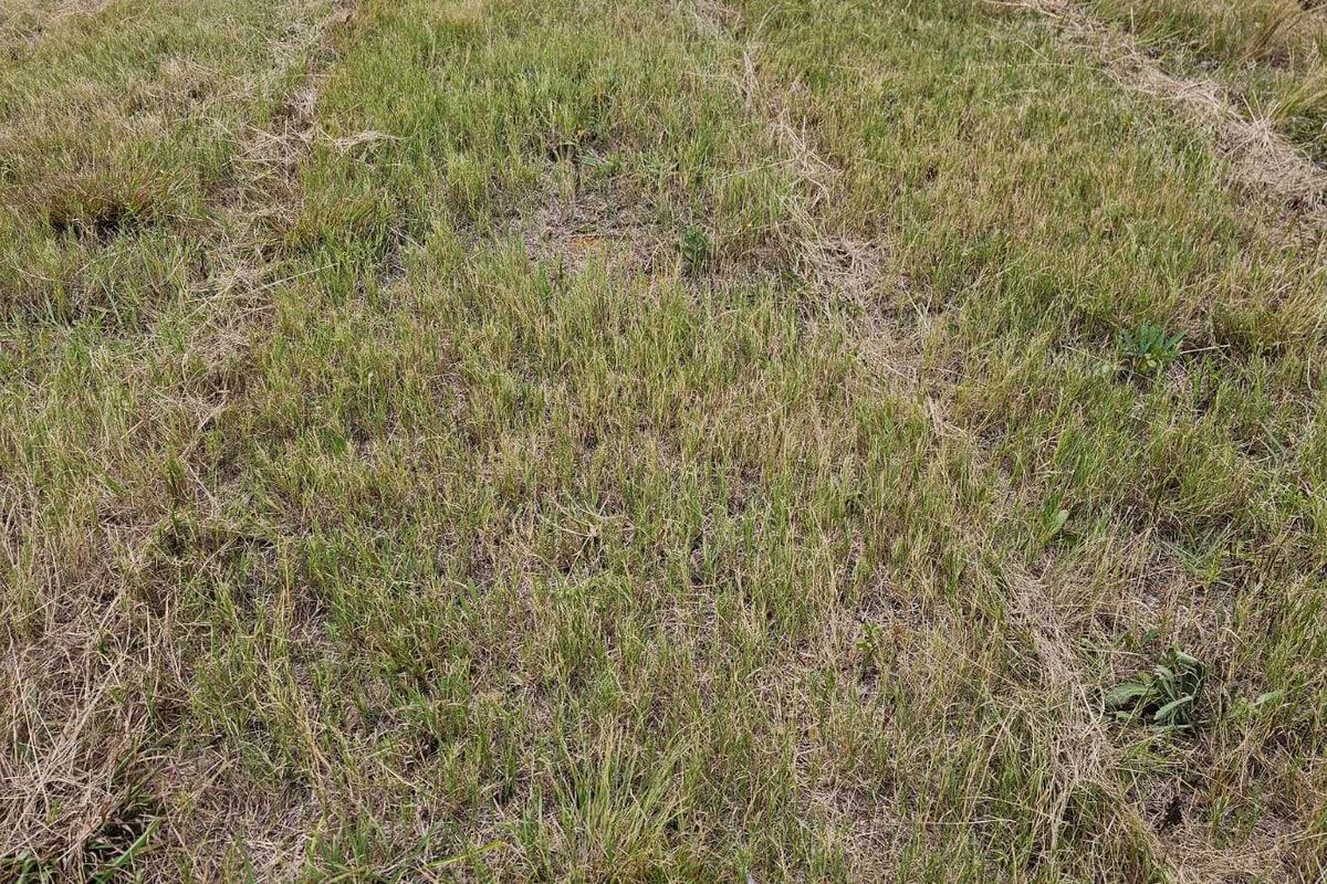 Vacant Land Residential For Sale in The Hills Game Reserve Estate - Photo 4