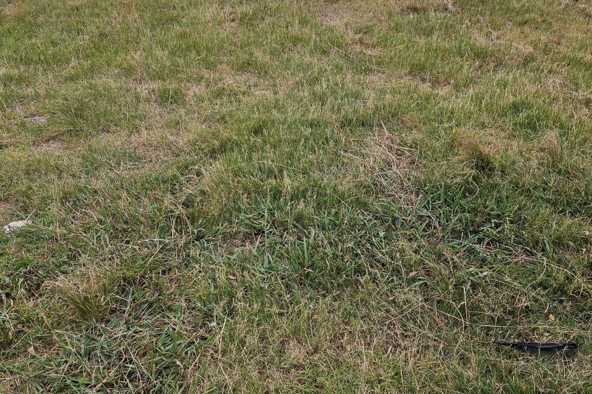 Vacant Land Residential For Sale in The Hills Game Reserve Estate - Photo 3