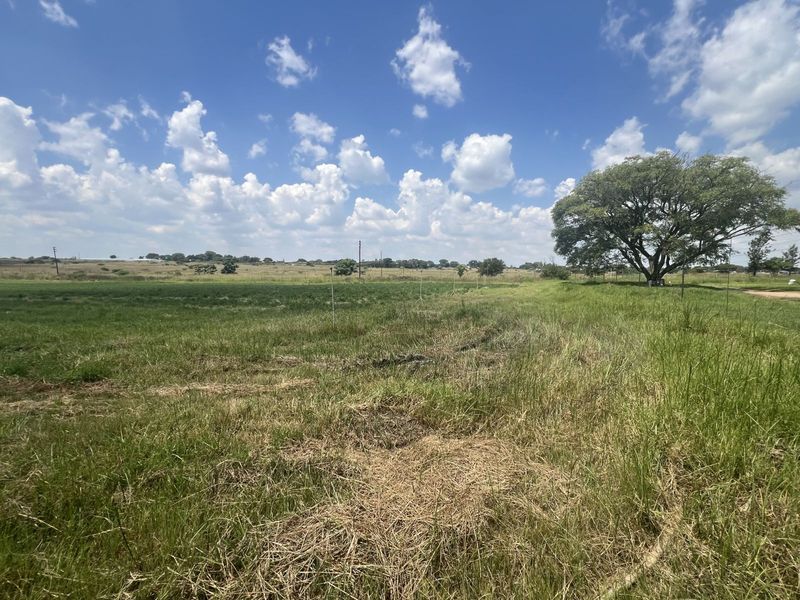 Farm For Sale in Doornbult AH - Photo 5