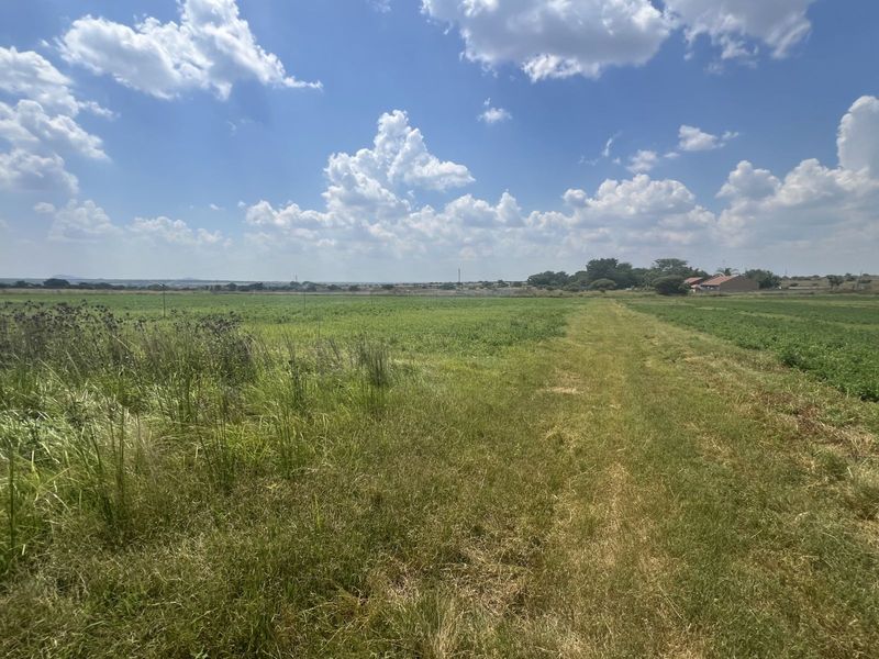 Farm For Sale in Doornbult AH - Photo 6