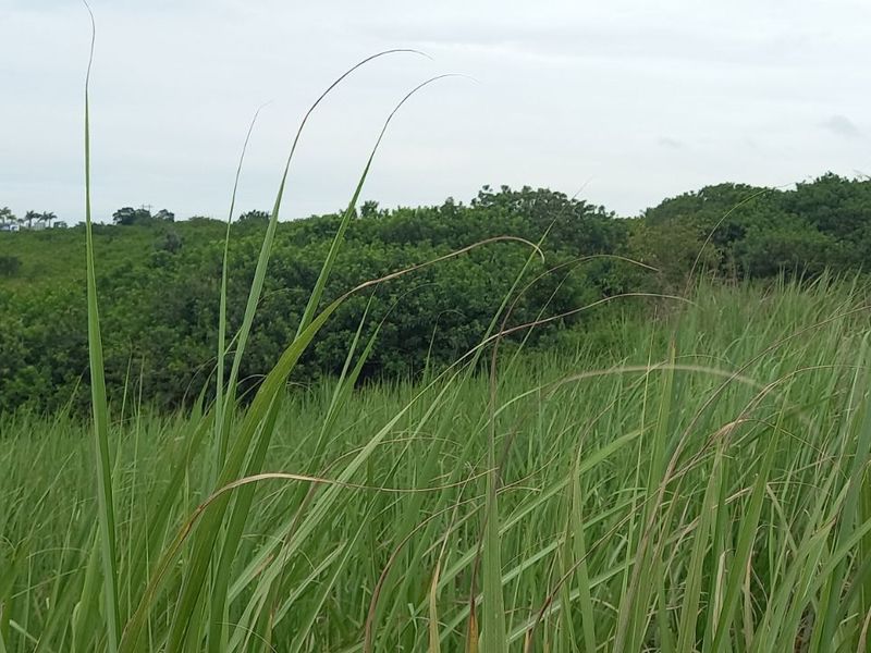 Apartment For Sale in Ballitoville - Photo 2