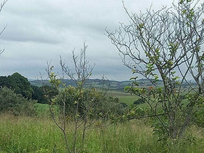 Apartment For Sale in Ballitoville - Photo 6