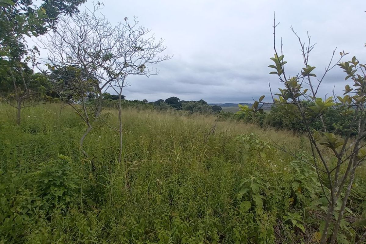 Apartment For Sale in Ballitoville - Photo 4