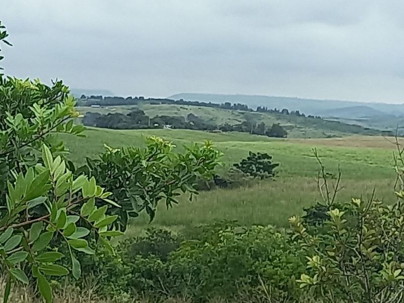 Apartment For Sale in Ballitoville - Photo 5