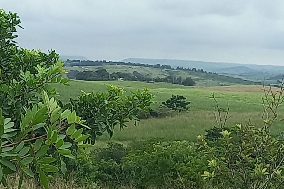 Apartment For Sale in Ballitoville - Photo 5