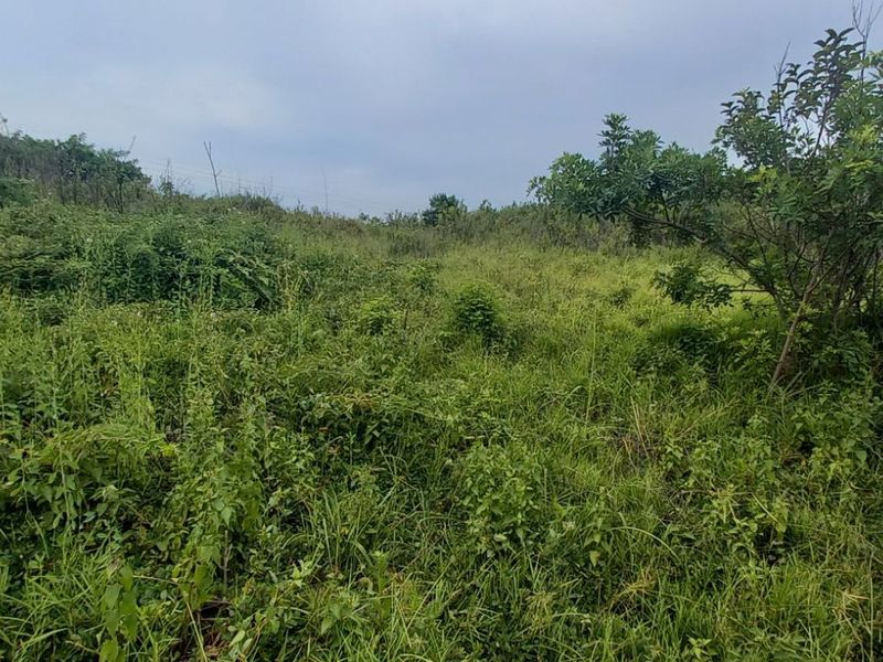 Apartment For Sale in Ballitoville - Photo 3