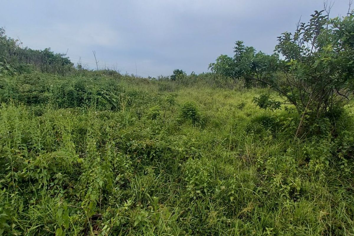 Apartment For Sale in Ballitoville - Photo 3