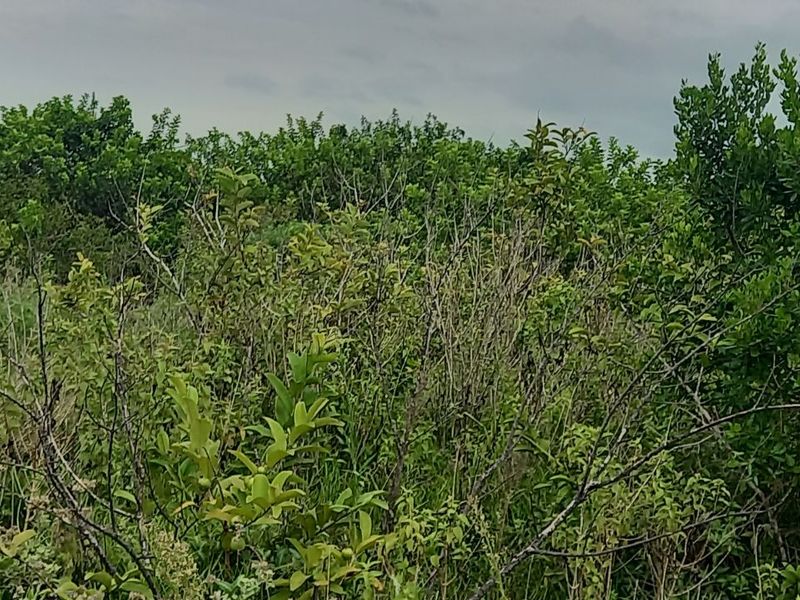 Apartment For Sale in Ballitoville - Photo 9